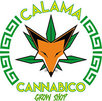 Calama Cannabico